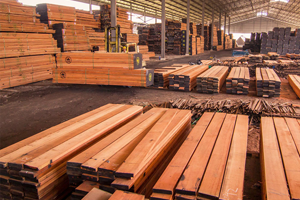Wood & Timber Products